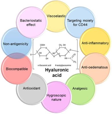 HomeComponent: Hyaluronic Acid and Its Multifaceted Applications in Biomaterials and Drug Delivery