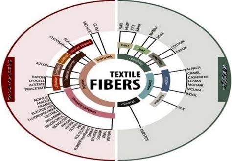  印第安棉花：高強度紡織纖維的秘密武器！