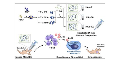  Iodine-Doped Hydroxyapatite: Revolutionizing Bone Regeneration Through Antimicrobial Action?